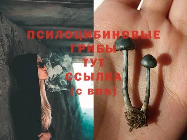 герыч Рославль